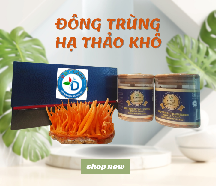 ĐÔNG TRÙNG HẠ THẢO KHÔ